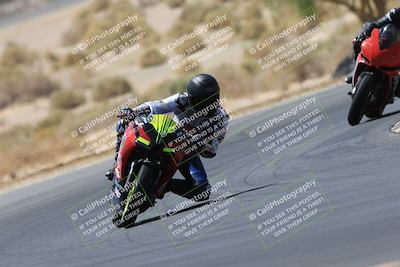 media/May-14-2023-SoCal Trackdays (Sun) [[024eb53b40]]/Turn 5 Tree of Life (1125am)/